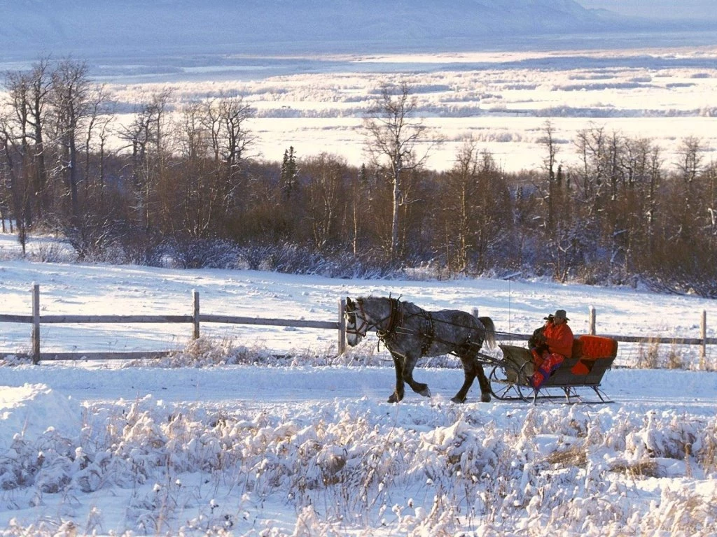 1024x768 Winter Wonderland Desktop PC And Mac Wallpapers