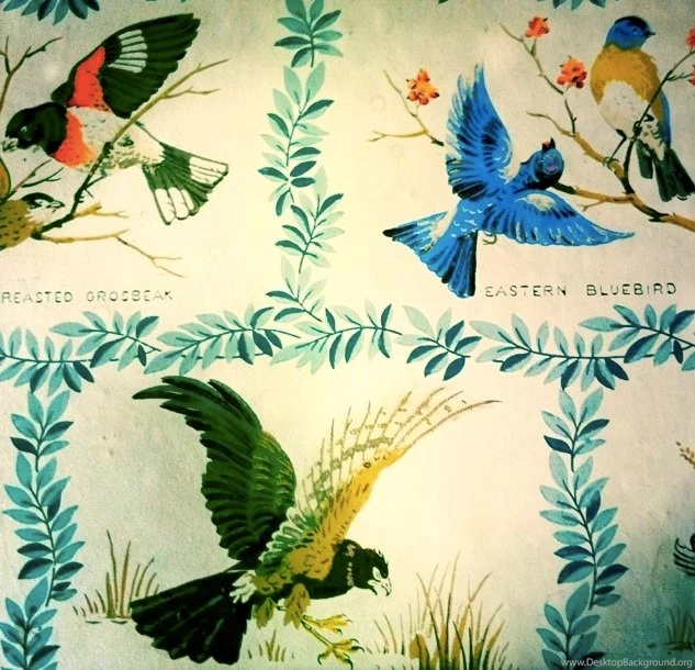 Spring Is Approaching: 1960s Vintage Bird Wallpapers
