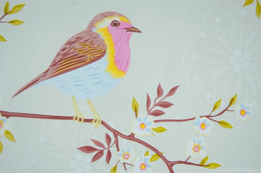 Wallpapers Pictures Photos: Vintage Bird Pictures