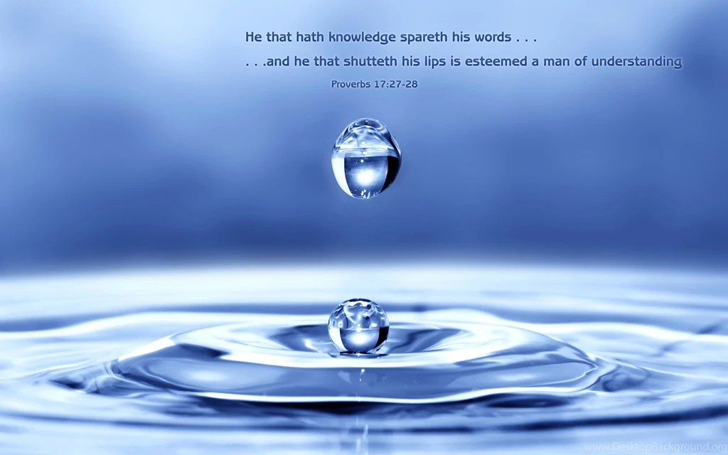 Proverbs 17:27 Free Desktop Background, Nature & Bible