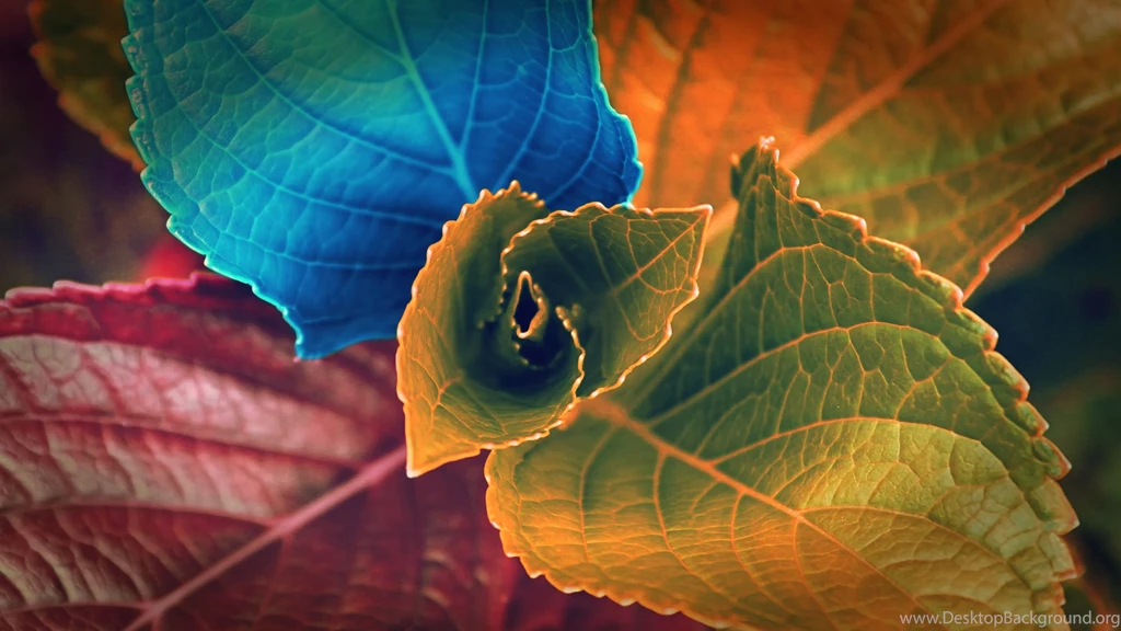 Www.intrawallpaper.com Wallpapers HD Page 1