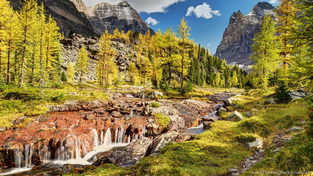 Nature Wallpapers HD – HdCoolWallpapers.Com