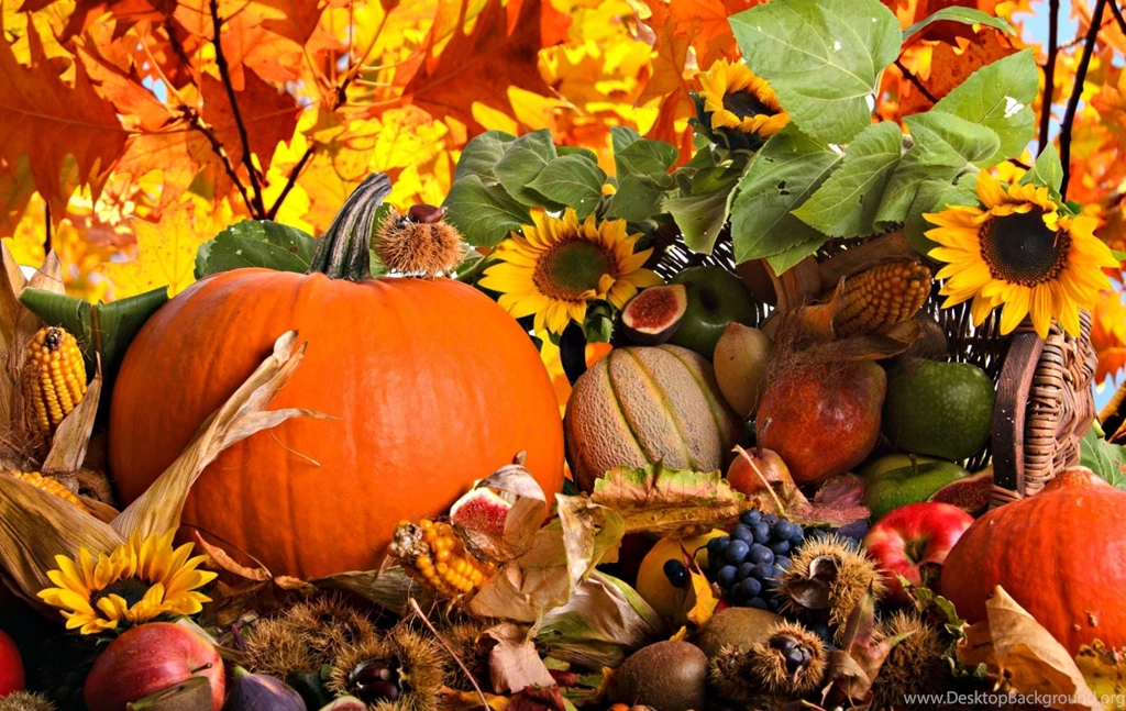 Fall Harvest Wide Wallpapers 3803 Amazing Wallpaperz