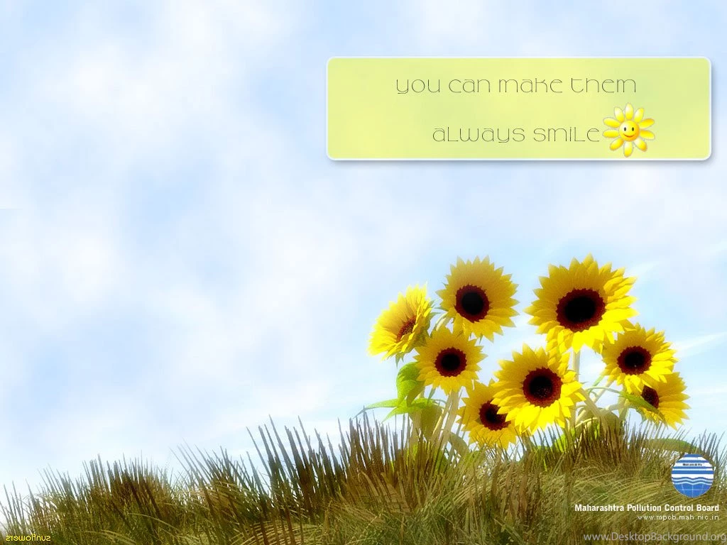 Maharashtra Pollution Control Board