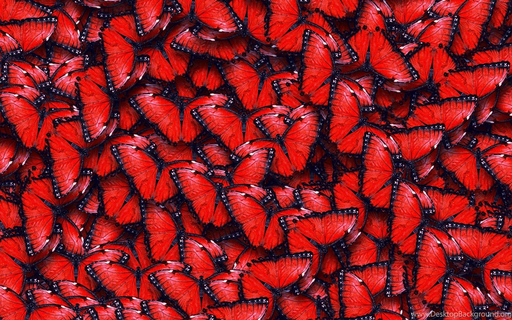 Red Butterfly Pattern Wallpapers