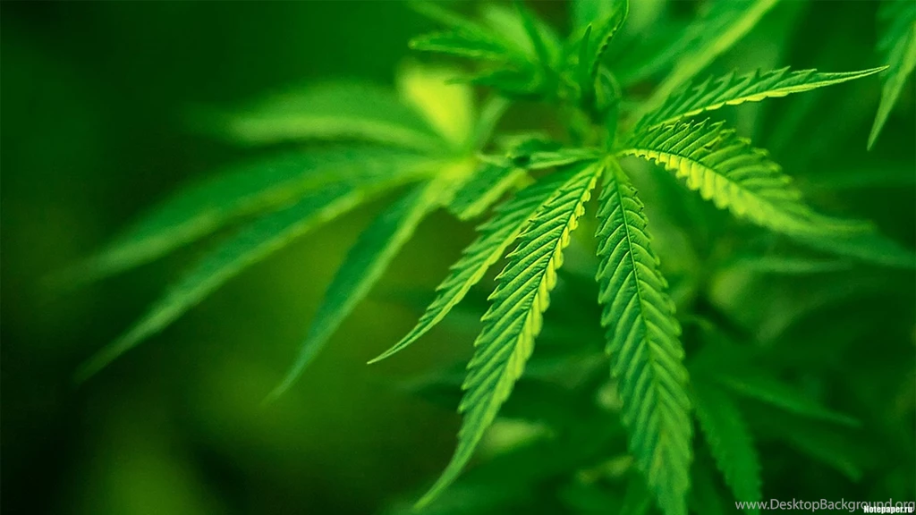 Wallpapers Ganja Miscellaneous Oh Yes 1920x1080