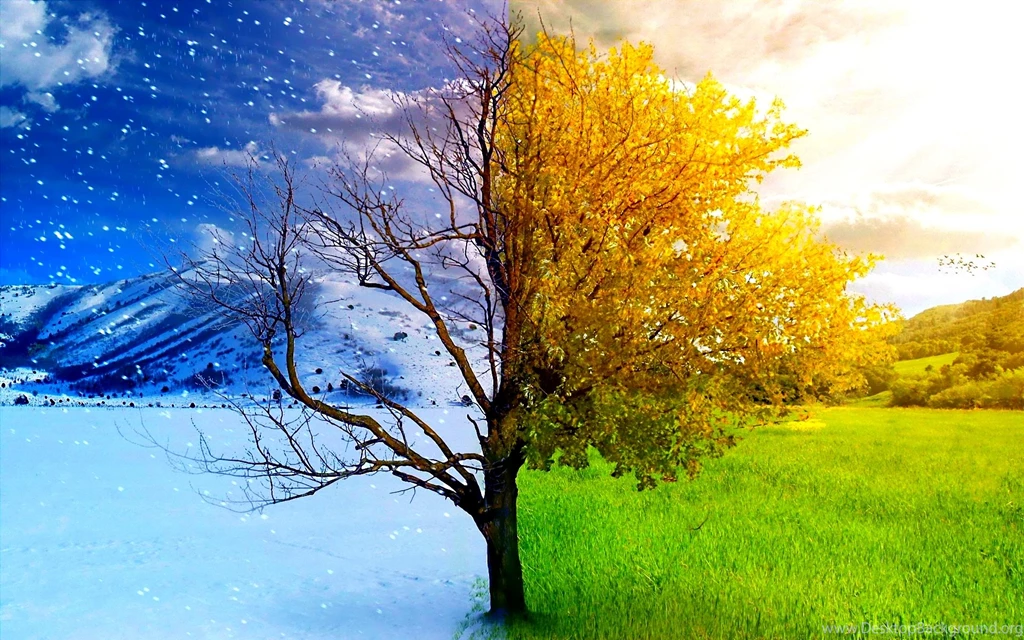 Dream Spring 2012 'bye 'winter,'hi' Spring! Wallpapers HD ...