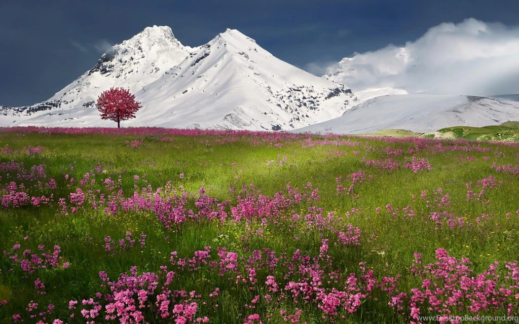 Spring Snow Mountains Nature Winter Wallpapers