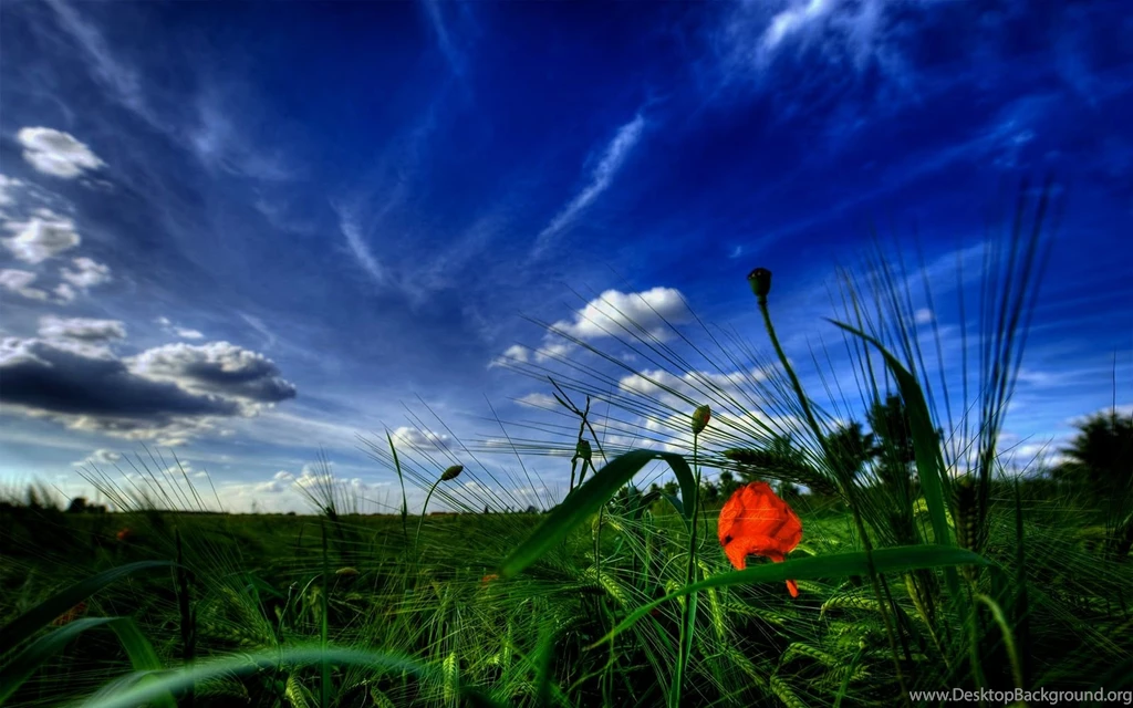 Ultra High Definition Pictures – 1920×1080 High Definition ...