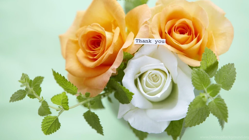 Download Wallpapers 3840x2160 Roses, Flowers, Three, Thanks, Greens ...