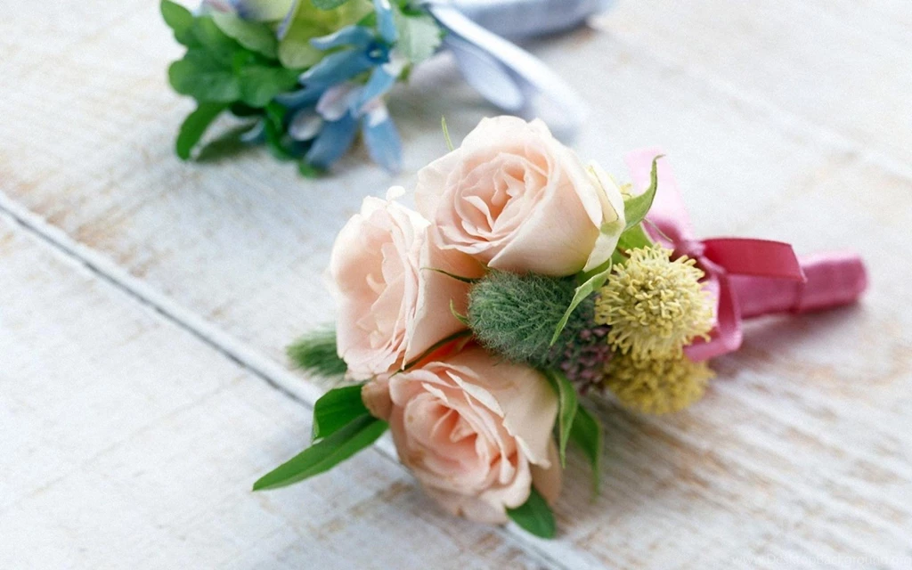 Beautiful Flowers HD 1920x1200 Wallpapers, 1920x1200 Wallpapers ...