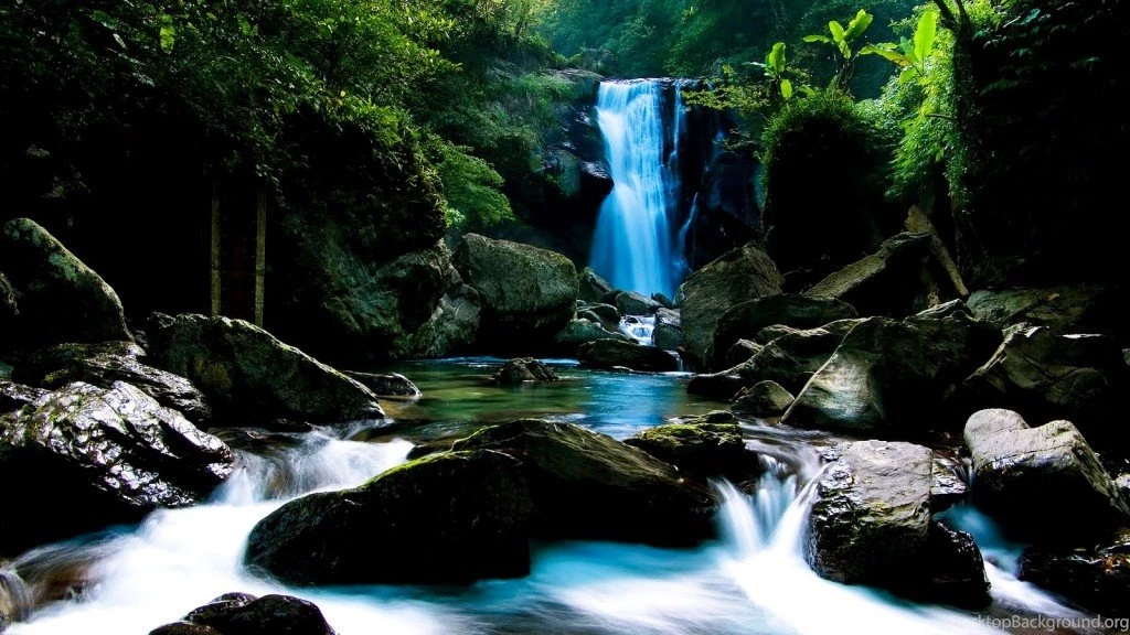 Free wallpaper downloads_1.jpg