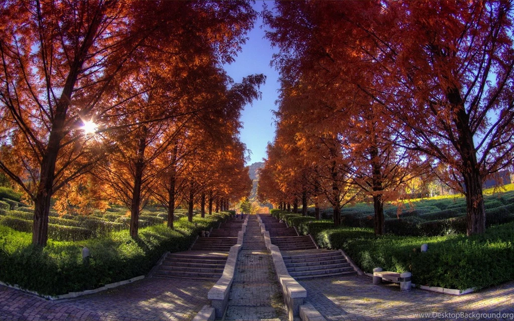 Latest Seductive Nature Photography Wallpapers 8 － Landscape ...