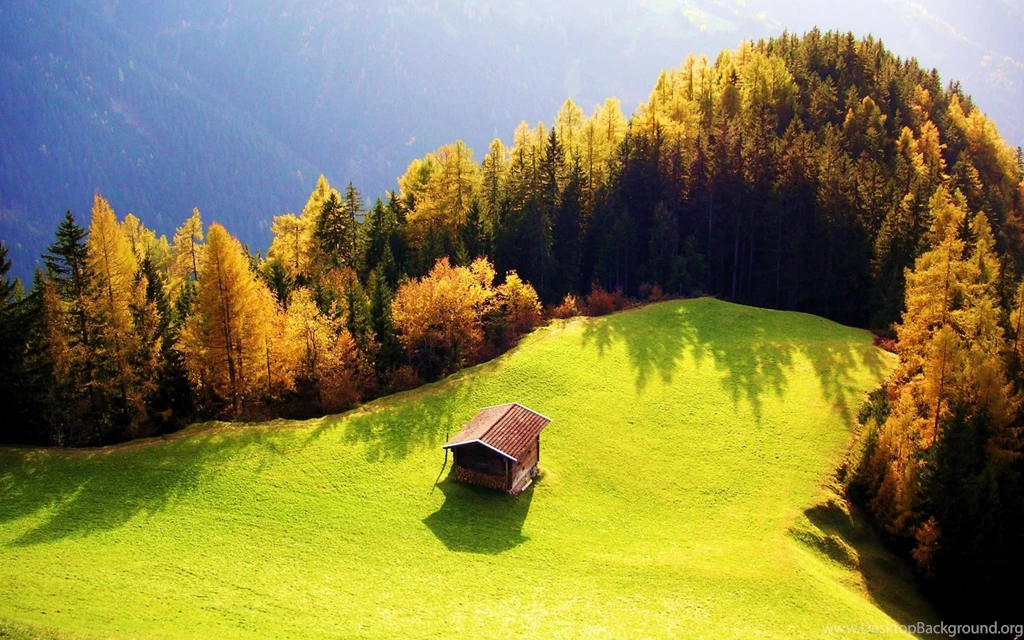 Free Nature Wallpapers Download Wallpapers Zone