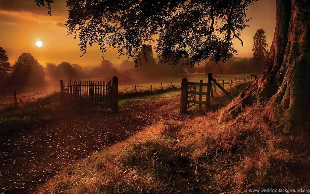 Heart Of Nature Wallpapers 10 - Landscape Wallpapers Free ...