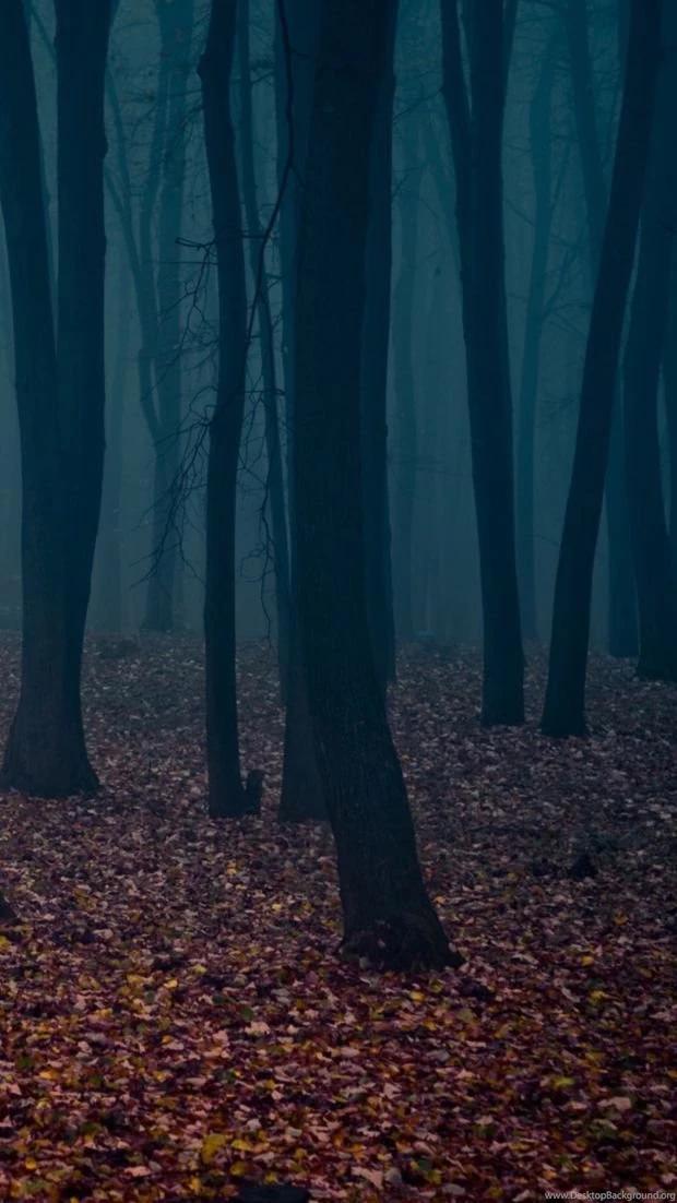 iPhone 6 Plus Dark Woods Wallpapers