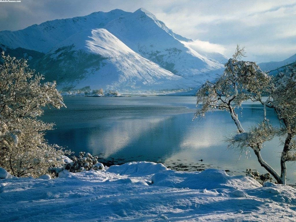 Download Wallpapers For Mobile