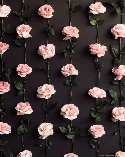 Floral Wallpapers For Iphone