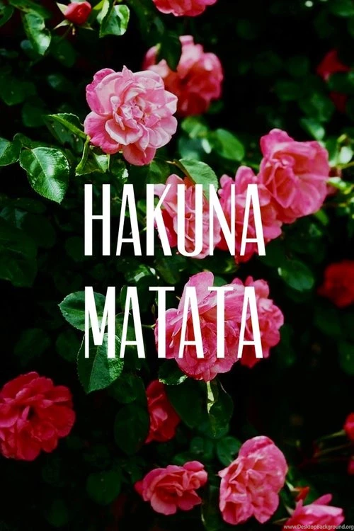 Valentina's Beauty Blog – Beauty . Fashion . Wellness
