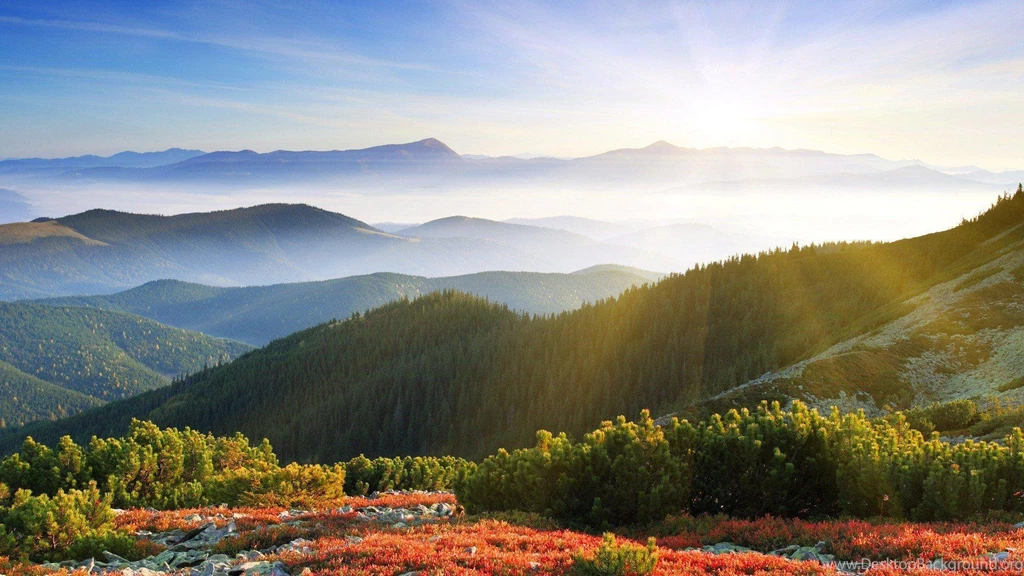 Mountains Landscapes Nature Trees Forests Hills Free Desktop >> HD ...