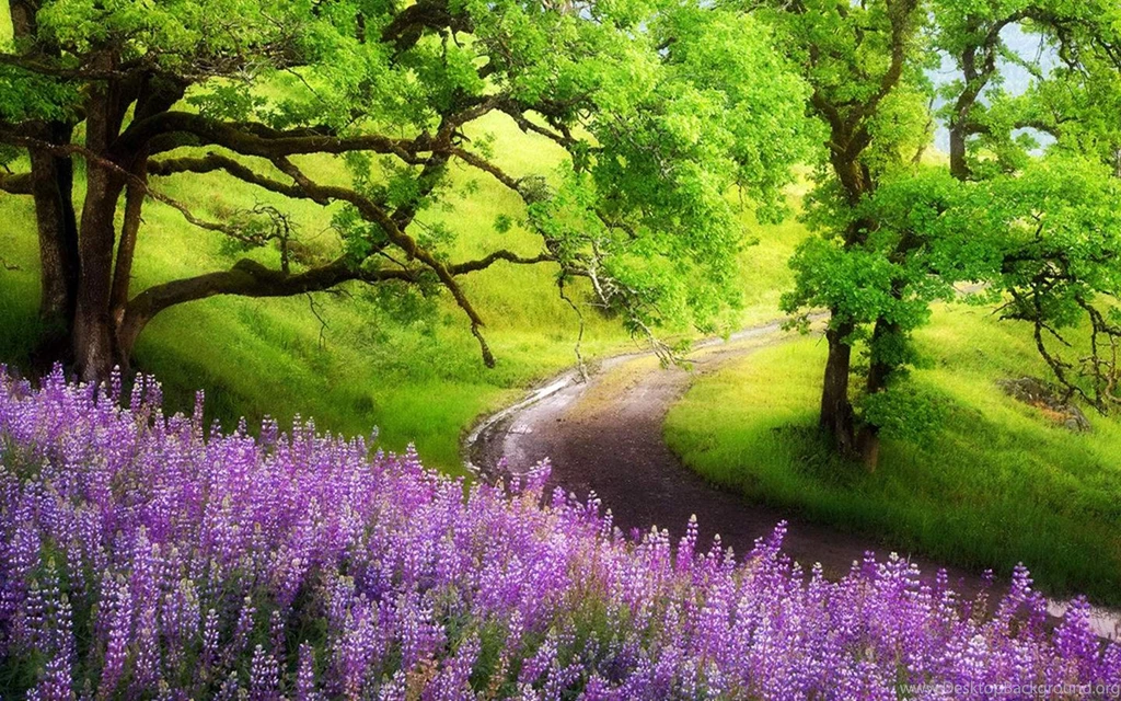 Green Landscape