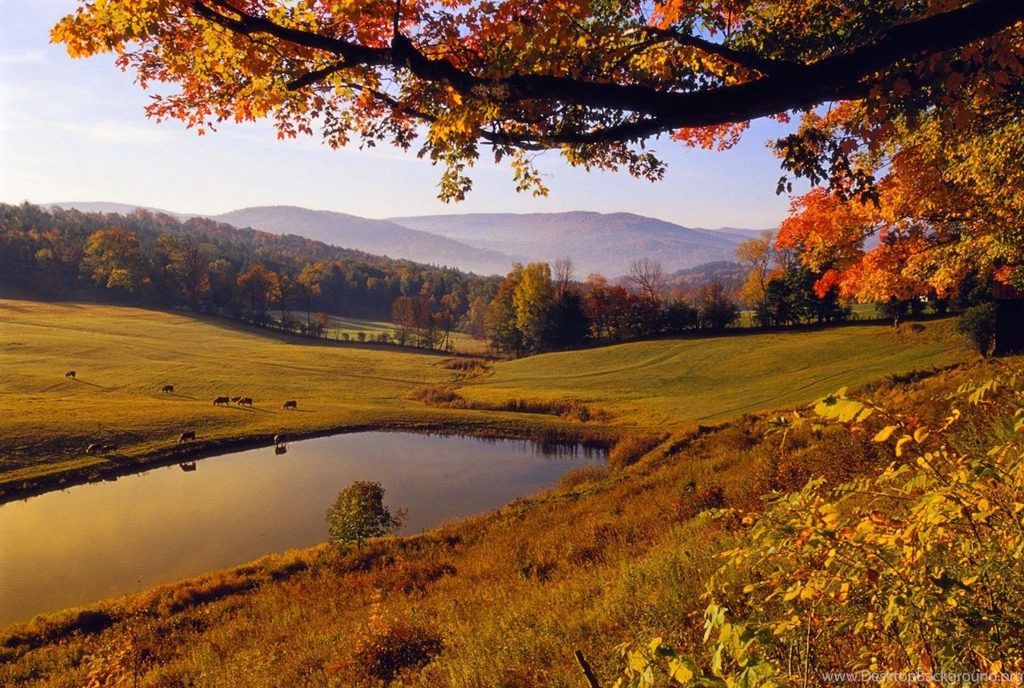 Autumn Landscape Desktop Wallpapers HD Wallpaper Backgrounds Of ...