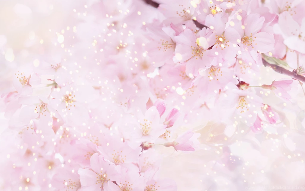 Beautiful Backgrounds Pictures