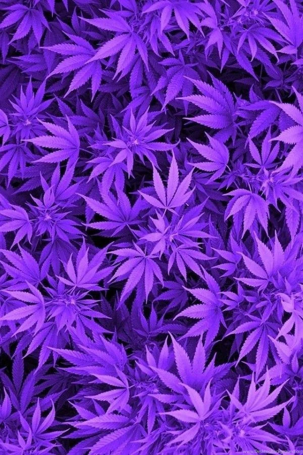 Ghetto Wallpapers HD Android Apps On Google Play