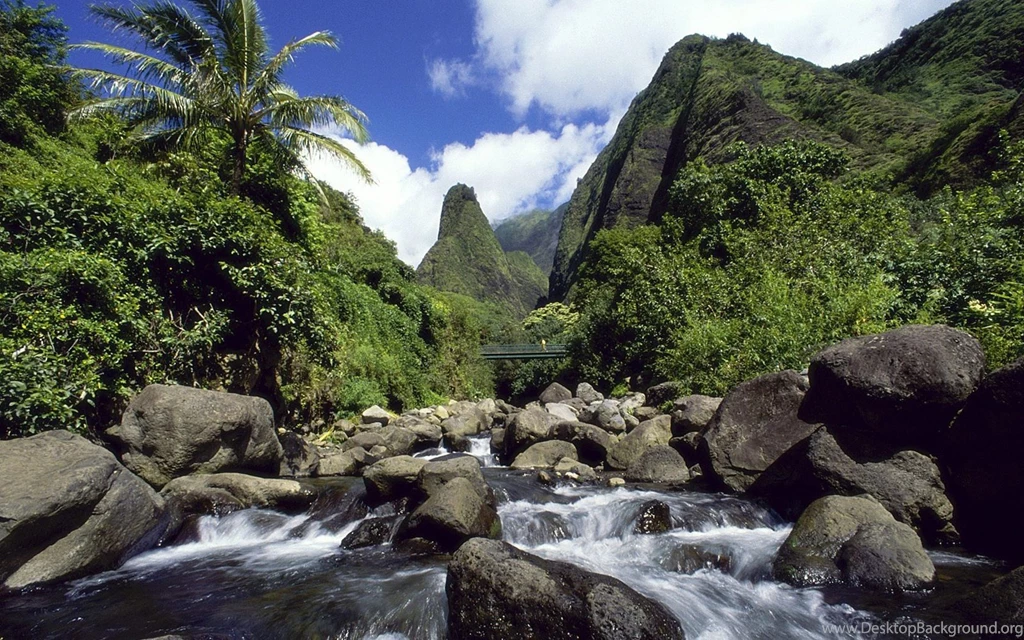 Download Landscapes Valley Wallpapers 1680x1050