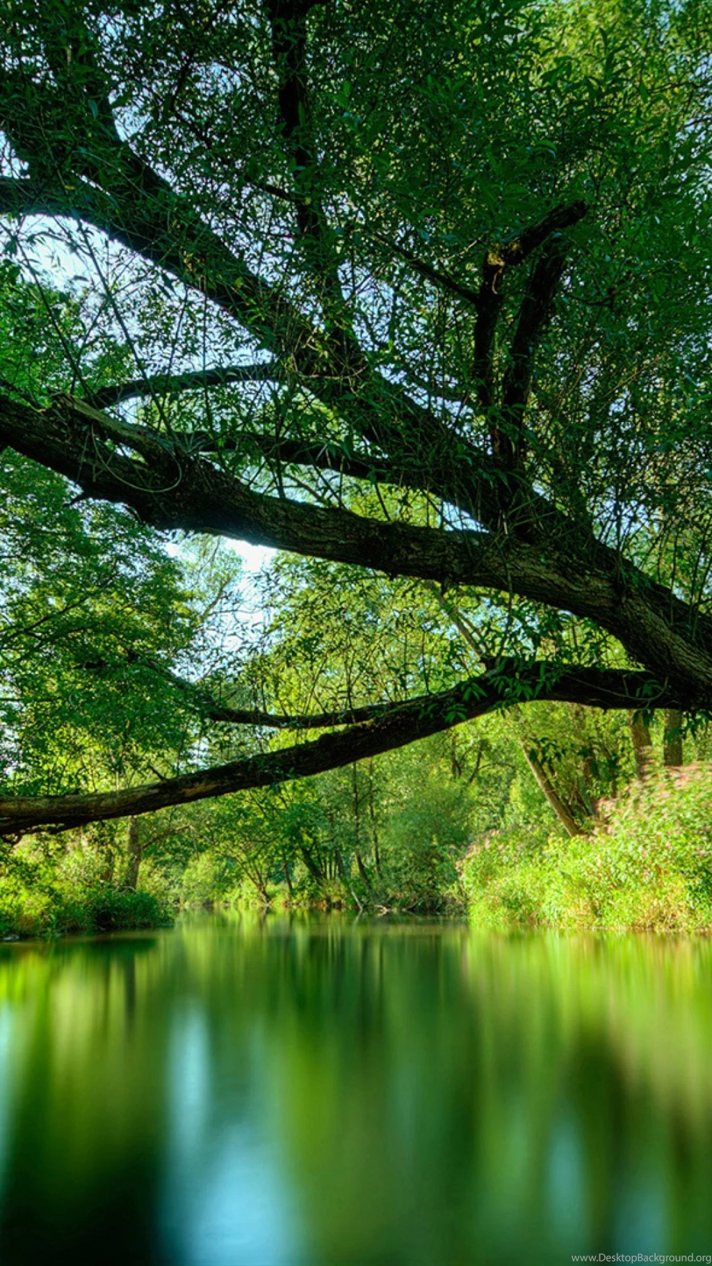 Nature S4 Wallpapers