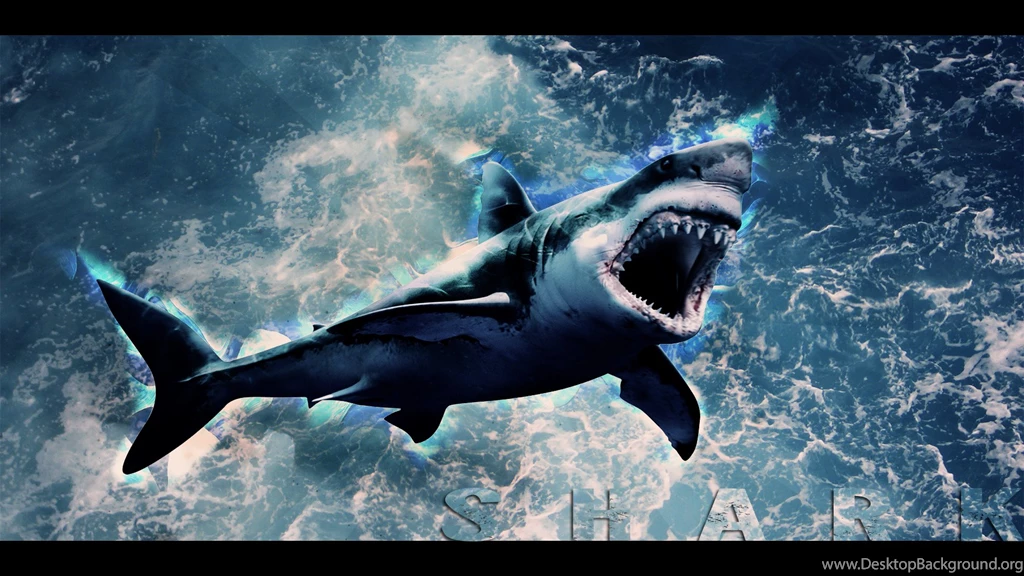 10 Shark Wallpapers HD By Tooyp On DeviantArt 1763 :: Shark Hd ...