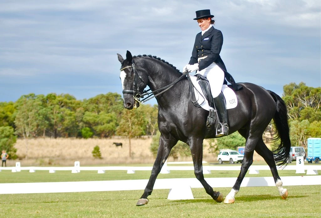 I Love Dressage By EquusAustralia On DeviantArt