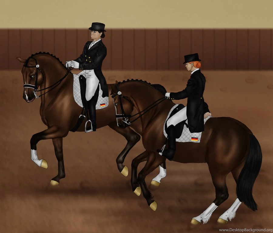 Dressage Show By Kalypzo91 On DeviantArt