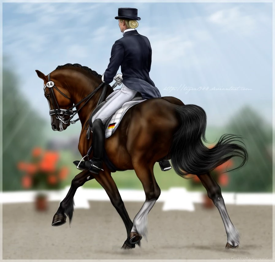 Hanoverian DeviantArt