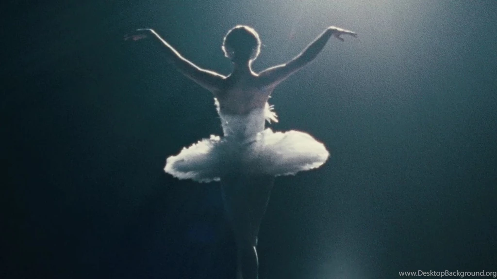 Black Swan Wallpapers Wallpapers HD Fine