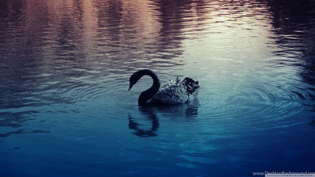 Black Swan HD Desktop Wallpapers : Widescreen : High Definition ...