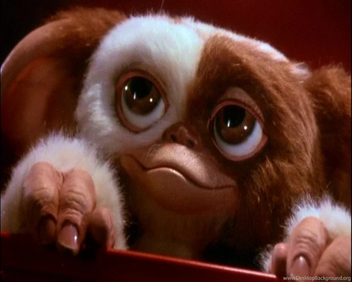 Gizmo By Aimee5 On DeviantArt