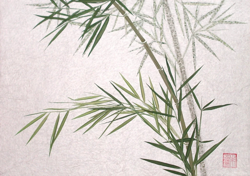 Bamboo Computer Wallpapers, Desktop Backgrounds