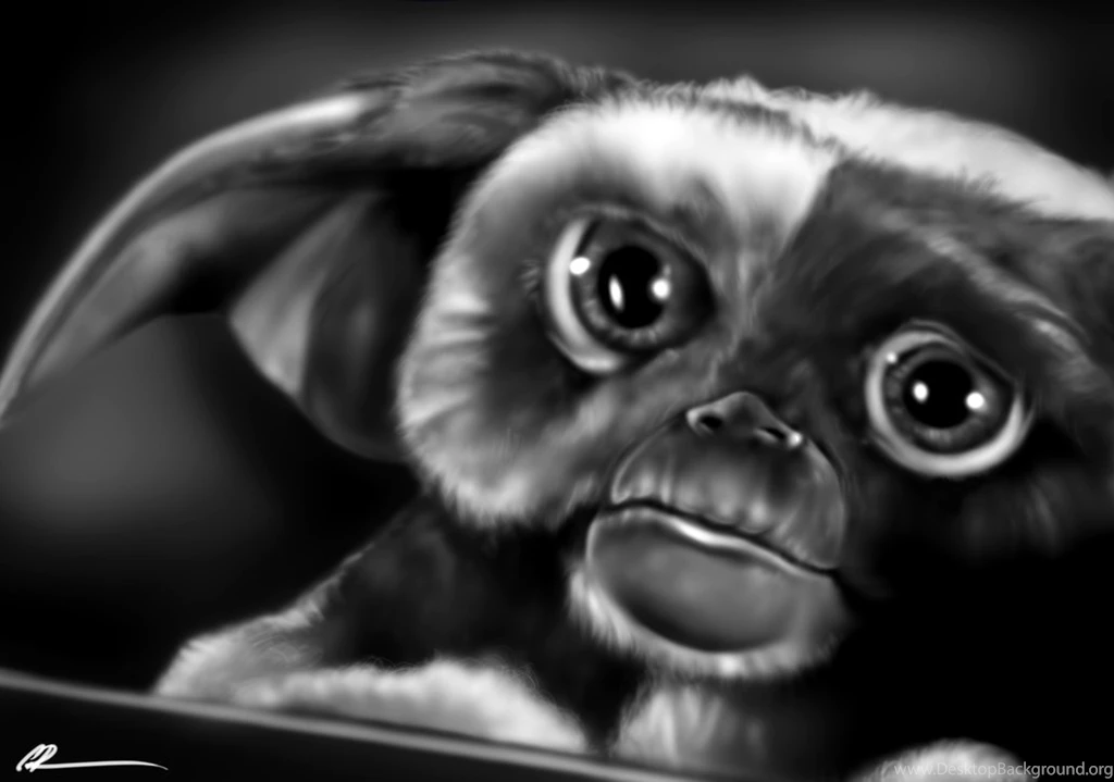 Gizmo By CSM 101 On DeviantArt
