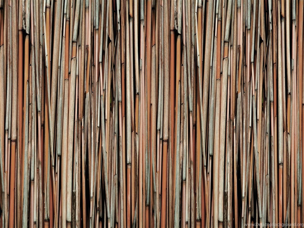 Bloompapers Bamboo Mural
