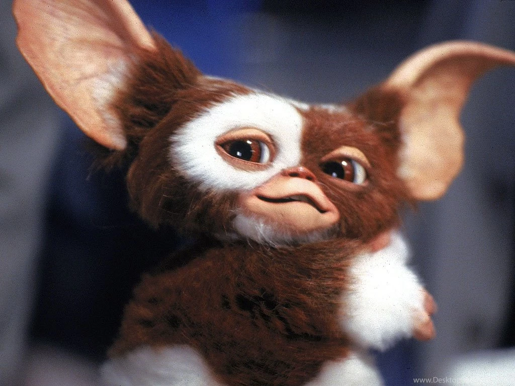 Gremlins 2 Turns 25: Trivia About The 'New Batch' Film : People.com