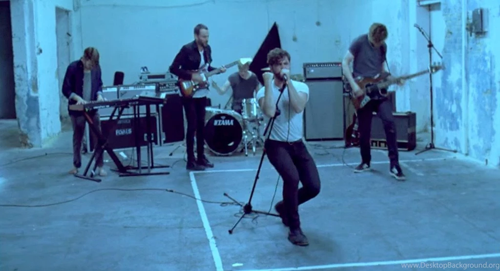Foals