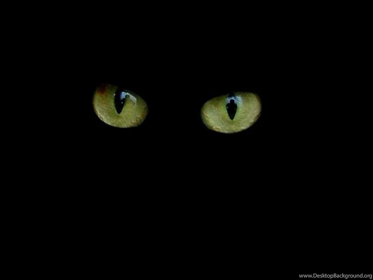 Download 3d abstract backgrounds 3481 hd wallpapers Free By Udhao.net