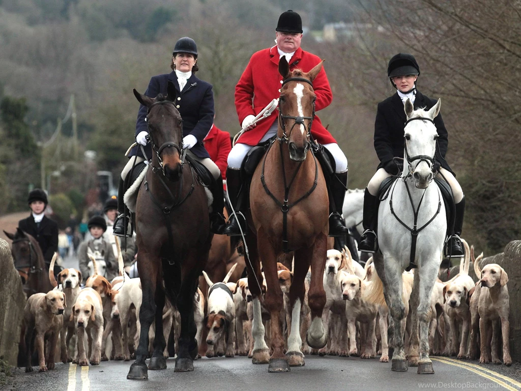 David Cameron To Give MPs A Free Vote On The Fox Hunting Ban And ...