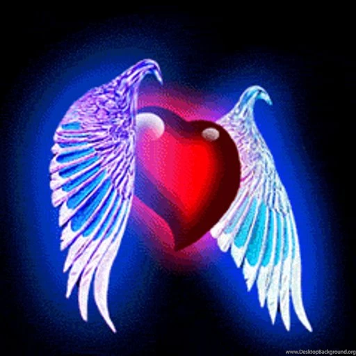 Amazon.com: Heart With Wings Live Wallpaper: Appstore For Android