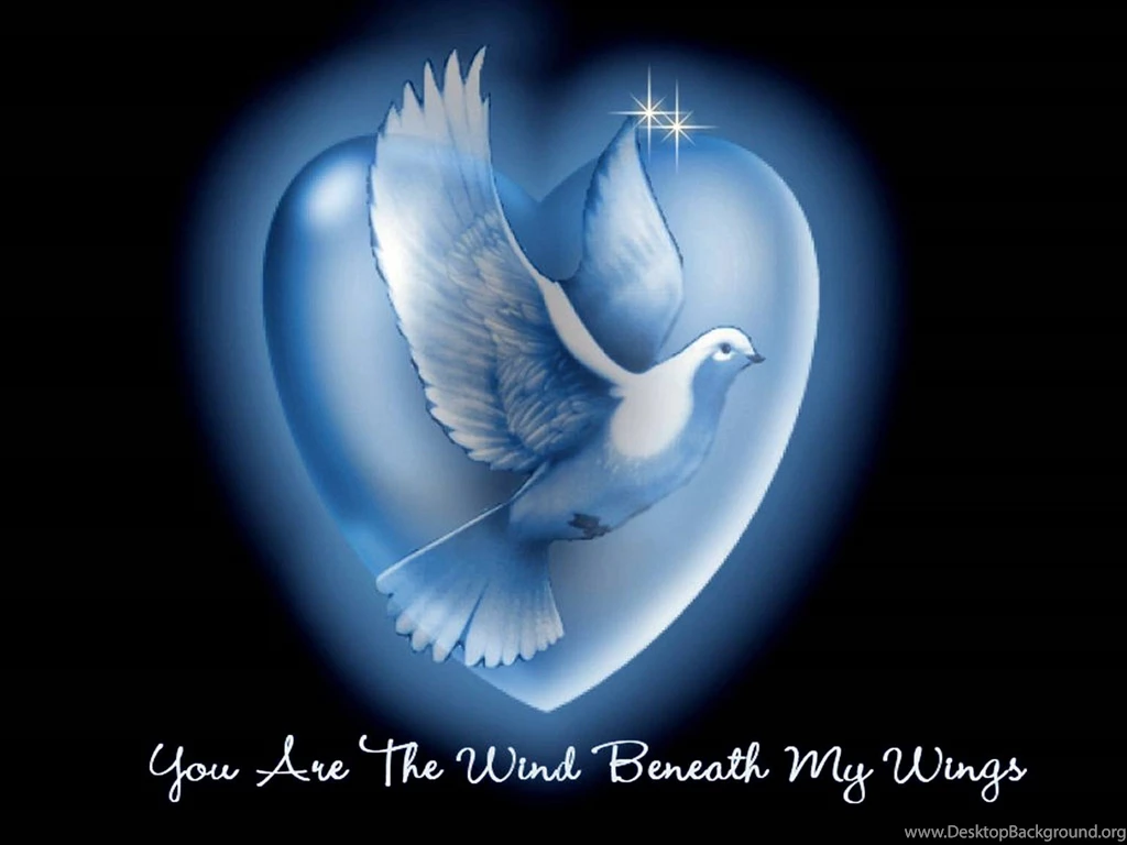 Wallpapers Heart Wings Hear Pictures 1600x1200