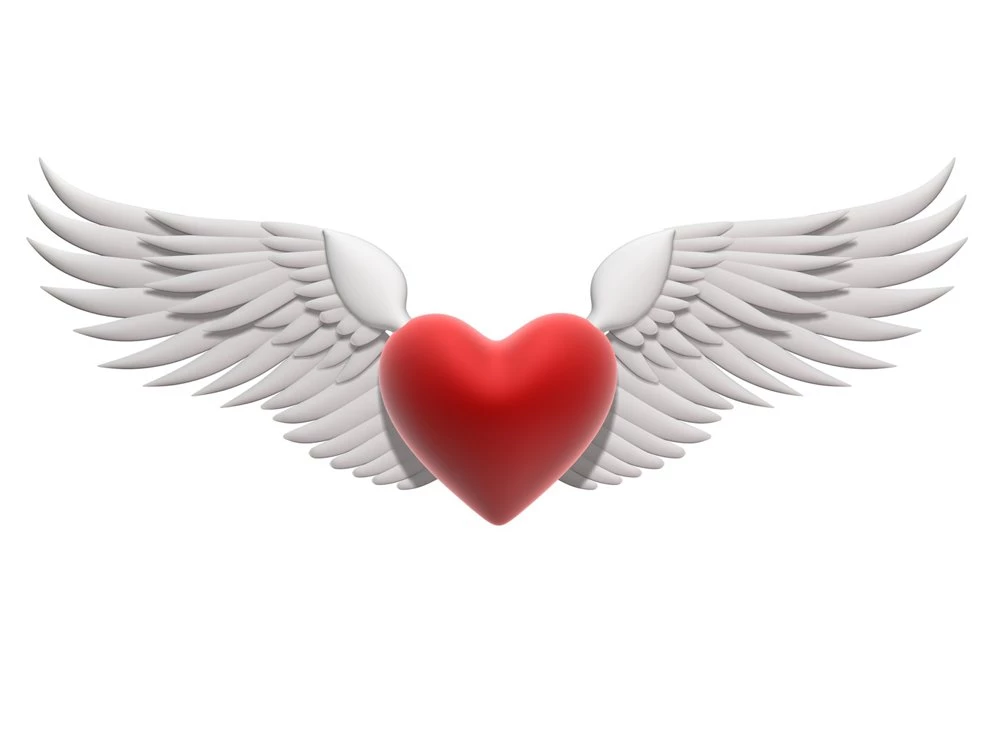 About Kim Kardashian: Pics Of Hearts With Wings