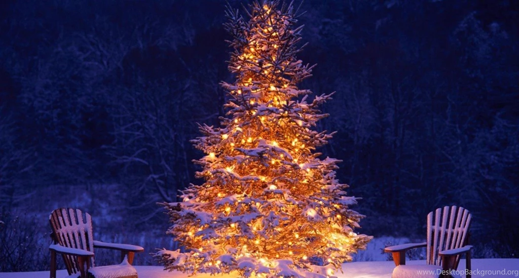Hd Wallpapers Christmas Tree Snow