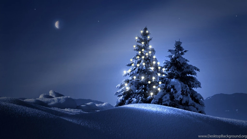 Christmas Tree Wallpapers Hd