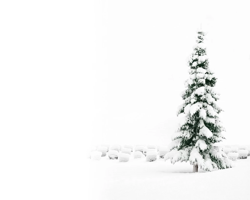 Christmas Snow Tree Wallpapers Wallpapers